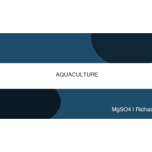 Global Aquaculture Production Reaches Record 130M Tonnes