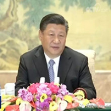 Chinese President Xi Jinping condemns trade barriers amid tariff row with the US