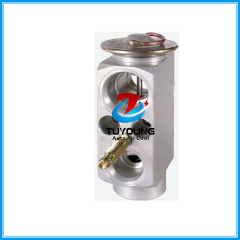 Auto a/c expansion valve BMW E46 3 Series E83 X3 '03- 64116904437 64116981100 31-30970 64118381304 64118381504 64119135745 64503452759