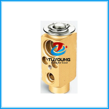 Auto a/c expansion valve BMW E36 3 64118361917 64118362379 64118372436 64118372436 64118384379 64118361917 324305 324316
