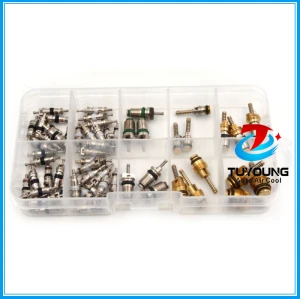 58 pcs auto A/C Air Conditioning Core valve 134a R12 for Big Buick Jetta Fukang