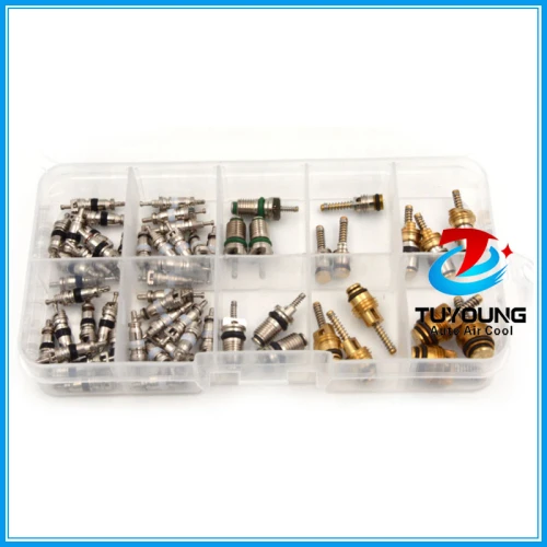58 pcs auto A/C Air Conditioning Core valve 134a R12 for Big Buick Jetta Fukang