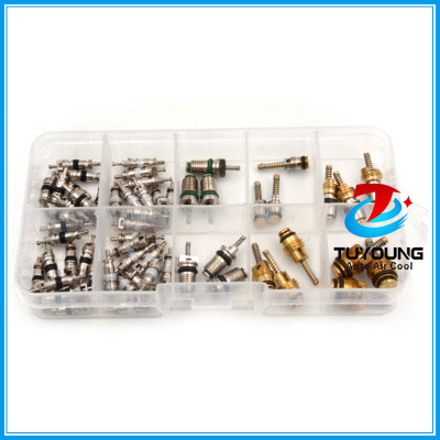 58 pcs auto A/C Air Conditioning Core valve 134a R12 for Big Buick Jetta Fukang