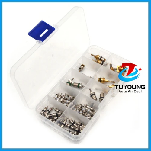 58 pcs auto A/C Air Conditioning Core valve 134a R12 for Big Buick Jetta Fukang