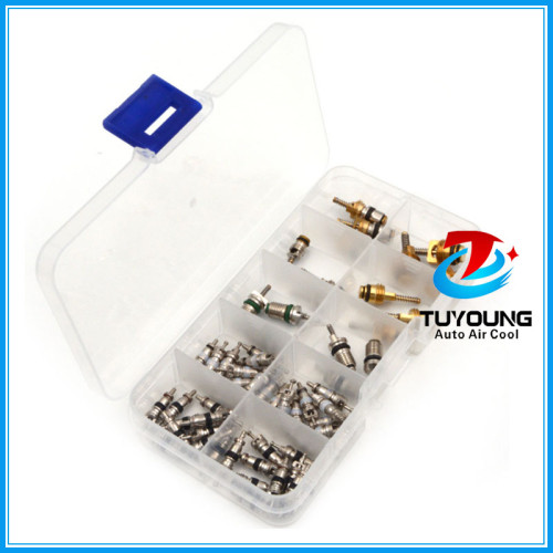 58 pcs auto A/C Air Conditioning Core valve 134a R12 for Big Buick Jetta Fukang