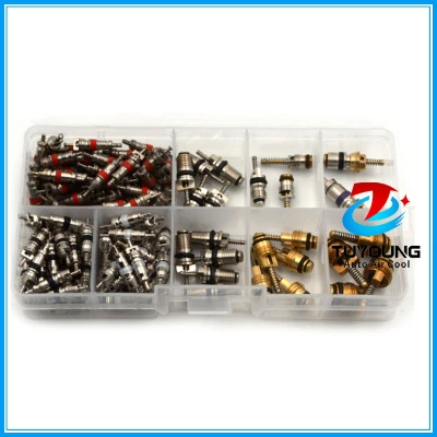 135 pcs auto A/C Shrader Valve Core R134 kit ,valve core remover/installer