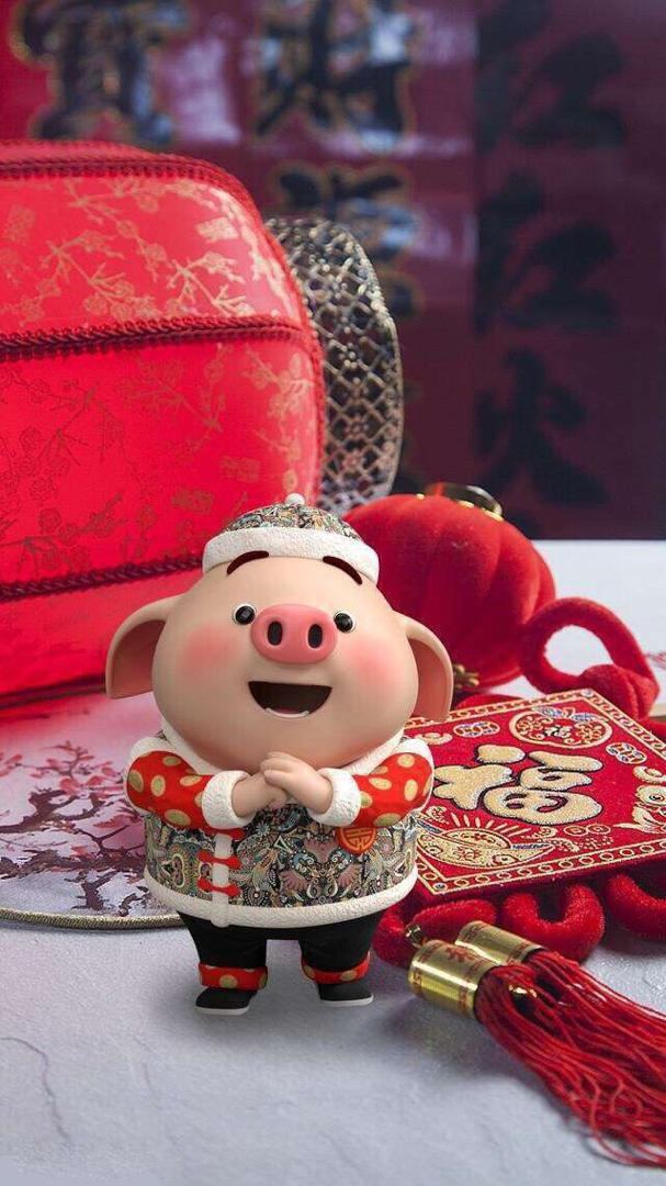 2019, the year of Pig in China , we hope to join hands with you to make great achievement together