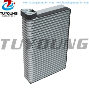 auto ac evaporator International 2602544C1 3542576C2 BOA8037600509 2730531 1950A0101 44110 4711978