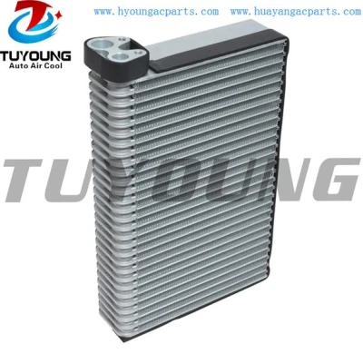 auto ac evaporator International 2602544C1 3542576C2 BOA8037600509 2730531 1950A0101 44110 4711978