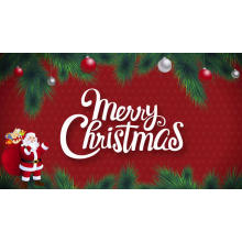 Best wishes for joy and love this Christmas season, for you and your family