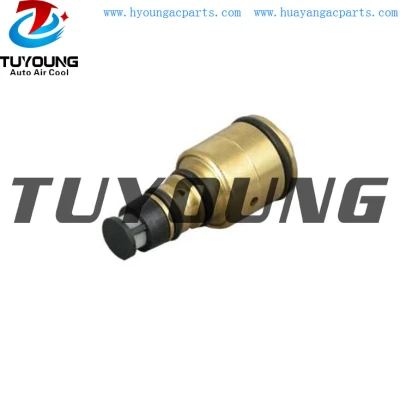 5SA12 5SA09 6SB16C car AC Compressor Control Valve fit VW Volvo Skoda SAAB ROVER Fiat Benz Opel