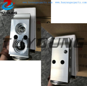 auto ac expansion valve for 516-24bB R134a