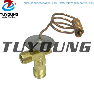 Auto a/c expansion valve for EX 6004C ABPN83308065 3038920M91 38621671003 38650692661 5E5429 80220SE0A01 80220SE0A11 3038920M91