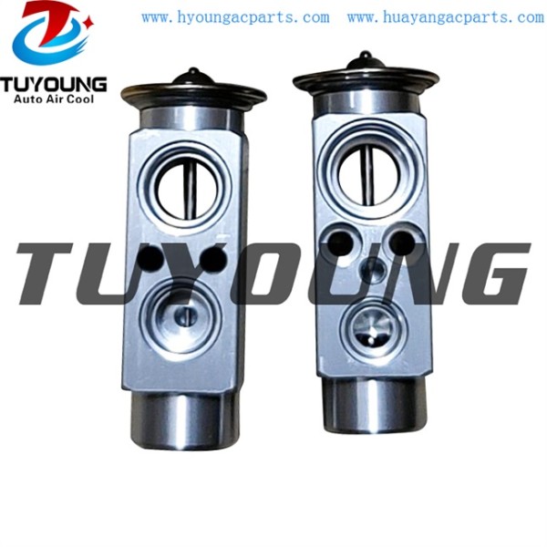 auto ac expansion valves Opel Astra valve block 1618033 1618190 0000695090 0695090 1618131 1618148 90487735 9117114 9117289 TSP0585028