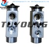 auto ac expansion valves Ford Escort IV 1.1 1.3 1.4 valve block 1019678 85GG19849BA China factory produce