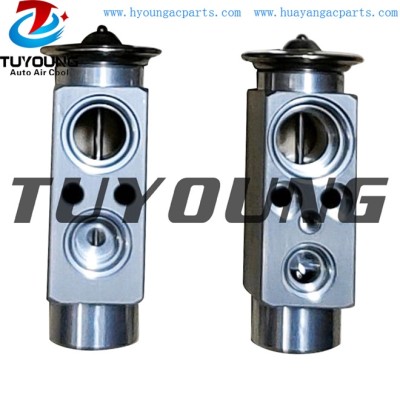 auto ac expansion valves Ford Escort IV 1.1 1.3 1.4 valve block 1019678 85GG19849BA China factory produce