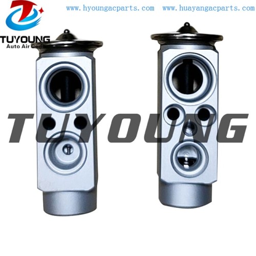 auto ac expansion valves BMW 520 2.0 valve block JQD000050 64116981454 China factory produce