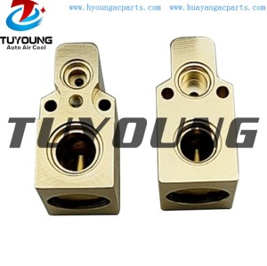 auto ac expansion valves Nissan Micra valve block 7701044164 508651 DVE07003 China factory produce
