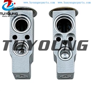 auto ac expansion valves Citroen Xsara Saxo valve block 6461G2 6461H3 China factory produce