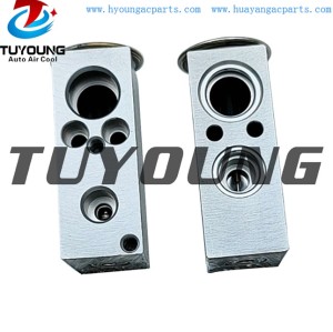 auto ac expansion valves Citroen C3 C4 valve block 6461N0 China factory produce