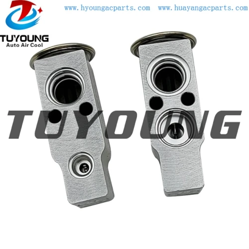 auto ac expansion valves Hyundai Coupe Tucson valve block 976262D000 EX 10142C AVE109000P 39318 3131054 2011436 4610A0101