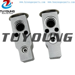 auto ac expansion valves Hyundai Coupe Tucson valve block 976262C000 976262D000 976262D100 China factory produce