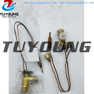 auto ac expansion valves Ford Mazda valve block 118305C3 128033C1 469475C1 China factory produce