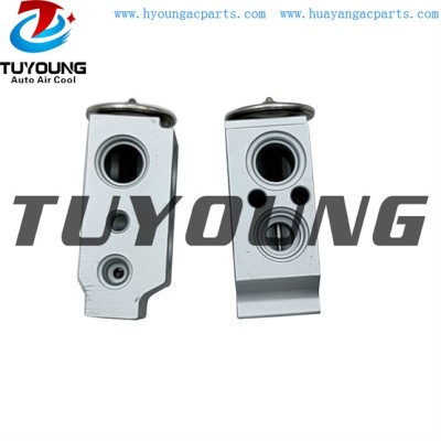 auto ac expansion valves HYUNDAI H-1 valve blocks 979164H000 China factory produce