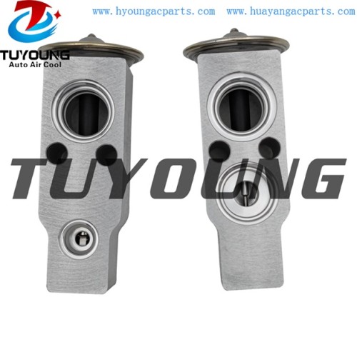 auto ac expansion valves Hyundai Coupe Elantra Matrix valve blocks 9760417000 9760417001 China factory produce