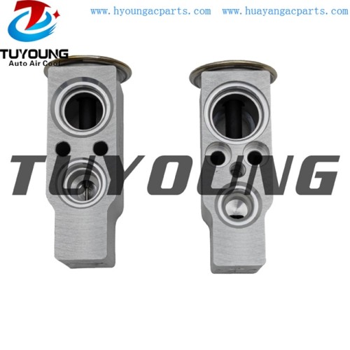 auto ac expansion valves Citroen C1 Peugeot 107 valve blocks 6461K3 885150H010 China factory produce