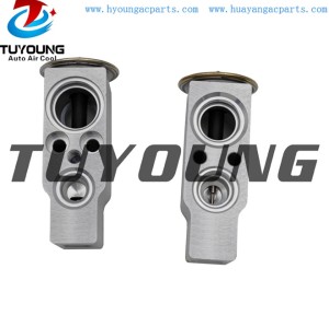 auto ac expansion valves Citroen valve blocks 6461G3 6461G5 260528 China factory produce