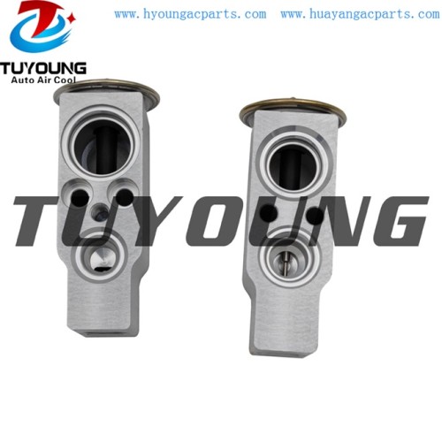 auto ac expansion valves Citroen valve blocks 6461G3 6461G5 260528 China factory produce