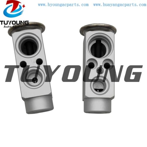 auto ac expansion valves BMW 520 523 525 530 valve blocks 64116138032 64116921051 64116964286 64119178316