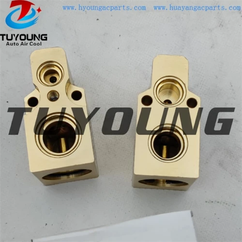 auto ac expansion valves AUDI A3 1.6 1.8 valve blocks 7701041340  JQD100190 China factory produce