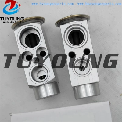 auto ac expansion valves BMW 316 1.6 1.8 1.9 2.0 valve blocks 64118381504 DVE05007 38404 China factory produce