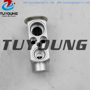 auto ac expansion valves Volvo S60 2.0 2.3 2.4 valve blocks 30767081 31101177 260549 China factory produce