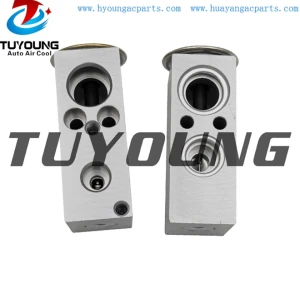 auto ac expansion valves Peugeot 207 1.4 1.6 valve blocks 6461K6 260534 6461-K6 TSP0585113 669043 260534 K42151 40001355