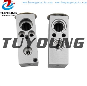 auto ac expansion valves Peugeot 207 1.4 1.6 valve blocks 6461K6  260534 China factory produce