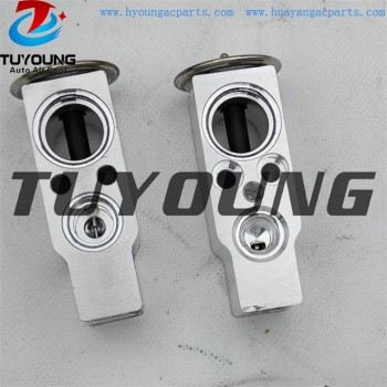 auto ac expansion valves Citroen C4 1.4 1.6 2.0 valve blocks 260530 6461K0 China factory produce