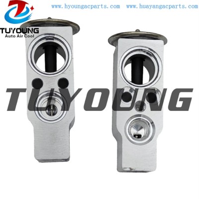 auto ac expansion valves Citroen C4 1.4 1.6 2.0 valve blocks 260530 6461K0 China factory produce