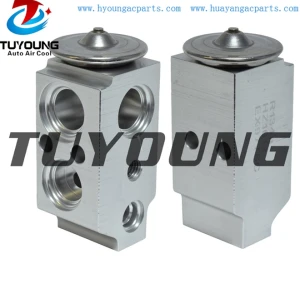 auto ac expansion valves Hyundai Accent  Kia Rio 97626-1R000 976261R000 39470 China factory produce