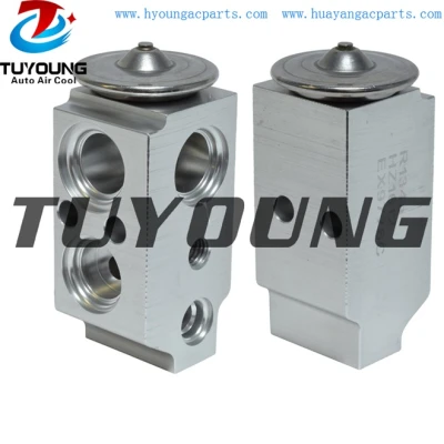 auto ac expansion valves Hyundai Accent  Kia Rio 97626-1R000 976261R000 39470 China factory produce
