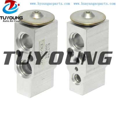 auto ac expansion valves Hyundai Accent 97601-1C100 976041C100 9760425000  9760425100 EX 10141C 1550899 759086 4610F0102 3131029