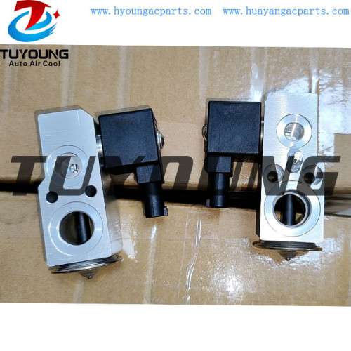 China factory wholesale auto ac expansion valves for BMW X5 new energy  645093133231  51104-12246-215
