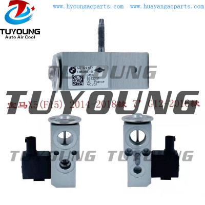 China factory wholesale auto ac expansion valves for BMW X5 new energy  645093133231  51104-12246-215