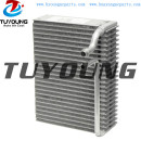 Auto ac evaporator Cores PEUGEOT 206 Citroën Xsara Picasso 2.0 310512 EV5900 AE82000S 2733307 2014325