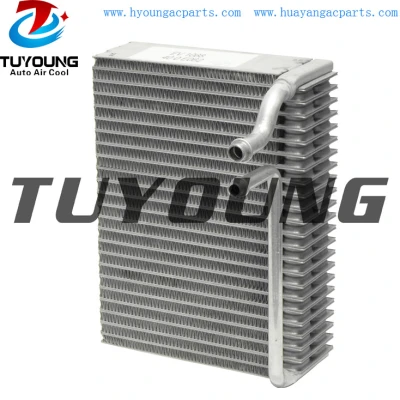 Auto ac evaporator Cores PEUGEOT 206 Citroën Xsara Picasso 2.0 310512 EV5900 AE82000S 2733307 2014325