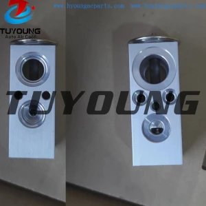Auto AC Expansion Valves  QKFH5013 Ford cargo expansion valve