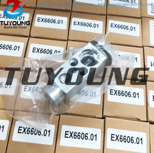 Auto A/C expansion valves DAF Mercedes Benz Actros Renault Volvo 1822560 70183632