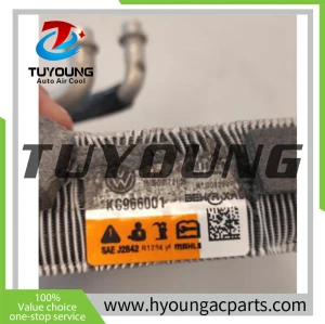 Automotive AC evaporrators VW Polo/Derby/Vento Seat Leon/Ibiza/ST HY-ET488 2Q1816105B  6EA898105 2Q0816679C 2Q1816103C